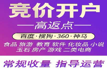 SEM竞价实战：案例解读广告投放技巧